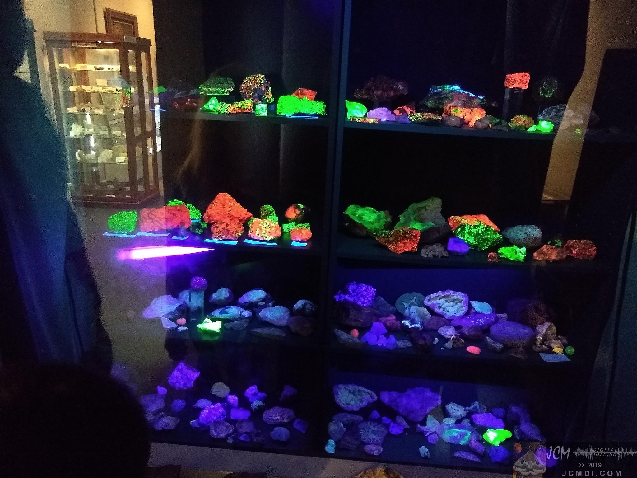 Earth Experience Dinosaur Museum - Fluorescent minerals under UV light
